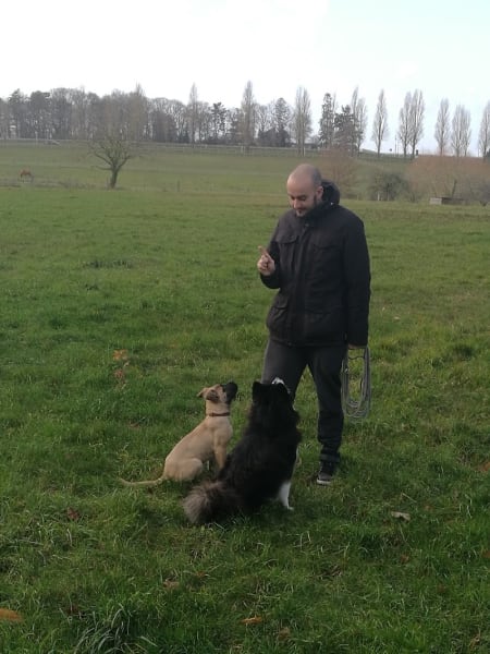 Can'Idéal - éducateur canin et comportementaliste (37) — photo