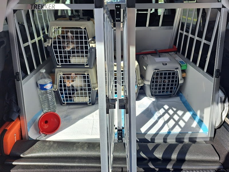 GB Transport Animalier & Pet-Sitter — photo