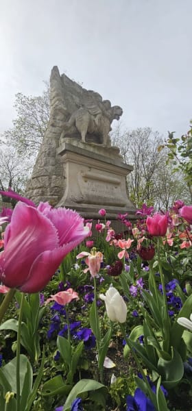 Cimetière des Chiens — photo