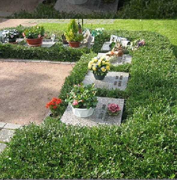 Pompes funèbres animalières pour animaux chien chats, taxi animalier funeraire, obsèques cremation (nice cannes frejus ) — photo