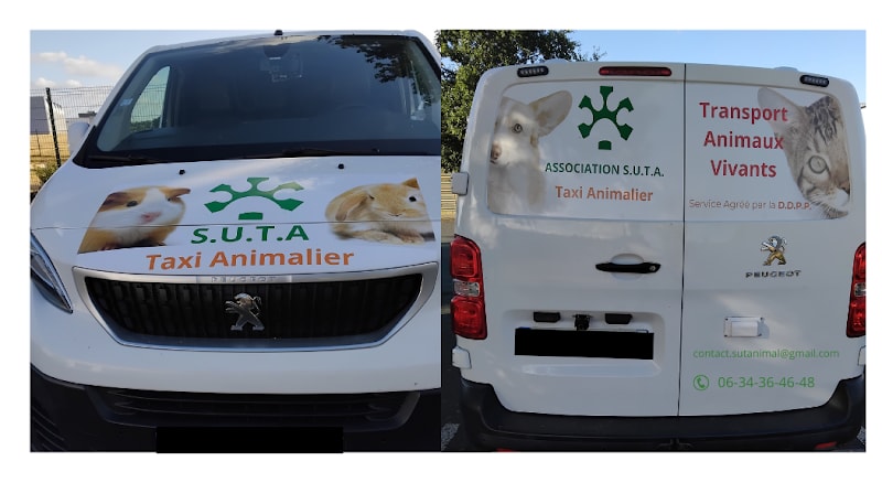 Association S.U.T.A. taxi ambulancier animalier — photo