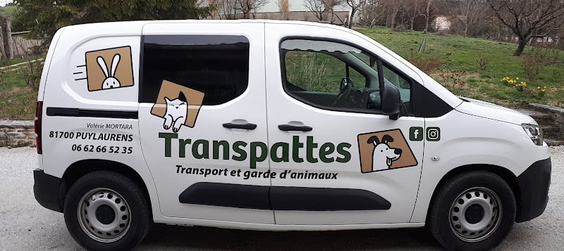 Transpattes — photo