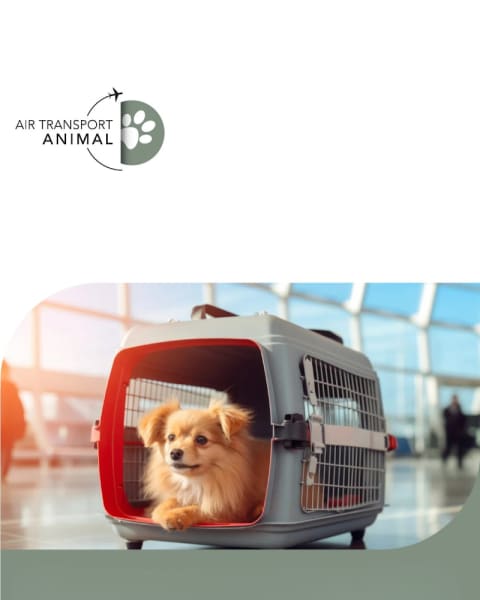 Air Transport Animal — photo