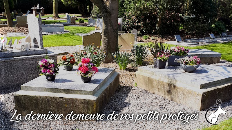 Cimetière pour Animaux — photo