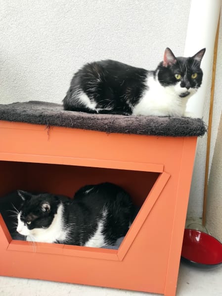 Fluffy's — photo
