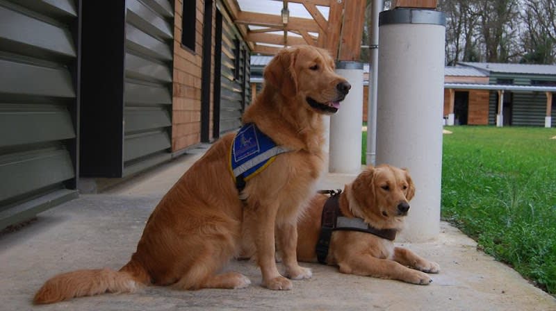 Centre d'élevage et d'éducation Jacques Bouniol, Ecole des Chiens Guides de Paris — photo
