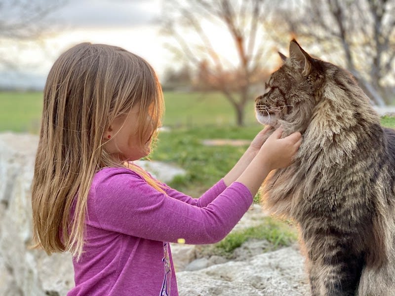 Les Sentiers Sauvages — photo