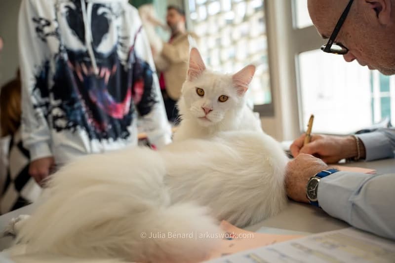 Chatterie La Maison Du Maine — photo