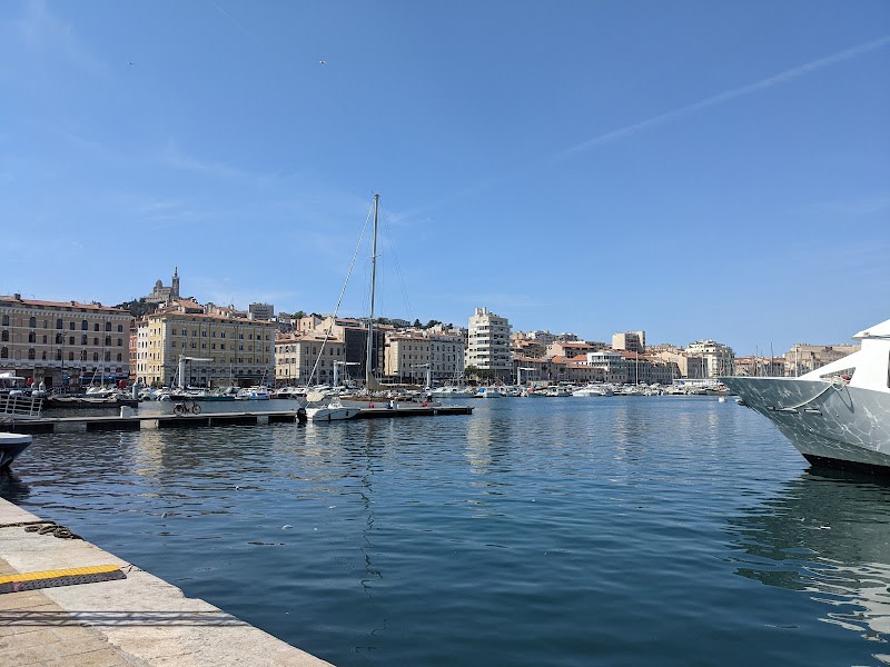 Coquillages du Vieux-Port de Marseille - Sonia et Ahmar Bendjema — photo