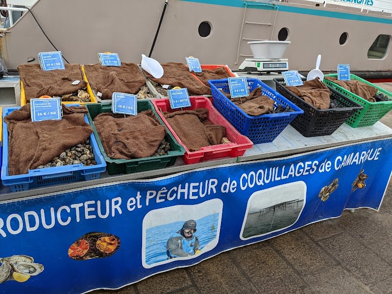 Coquillages du Vieux-Port de Marseille - Sonia et Ahmar Bendjema — photo