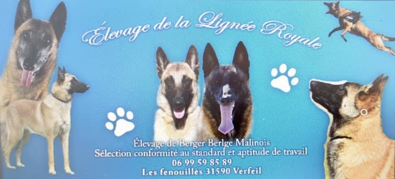 ELEVAGE DE LA LIGNEE ROYALE — photo