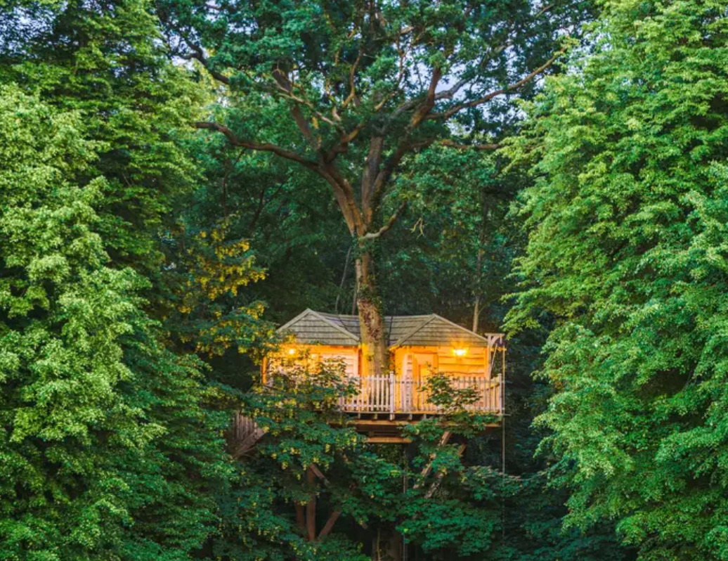 Cabanes des Grands Chênes — photo