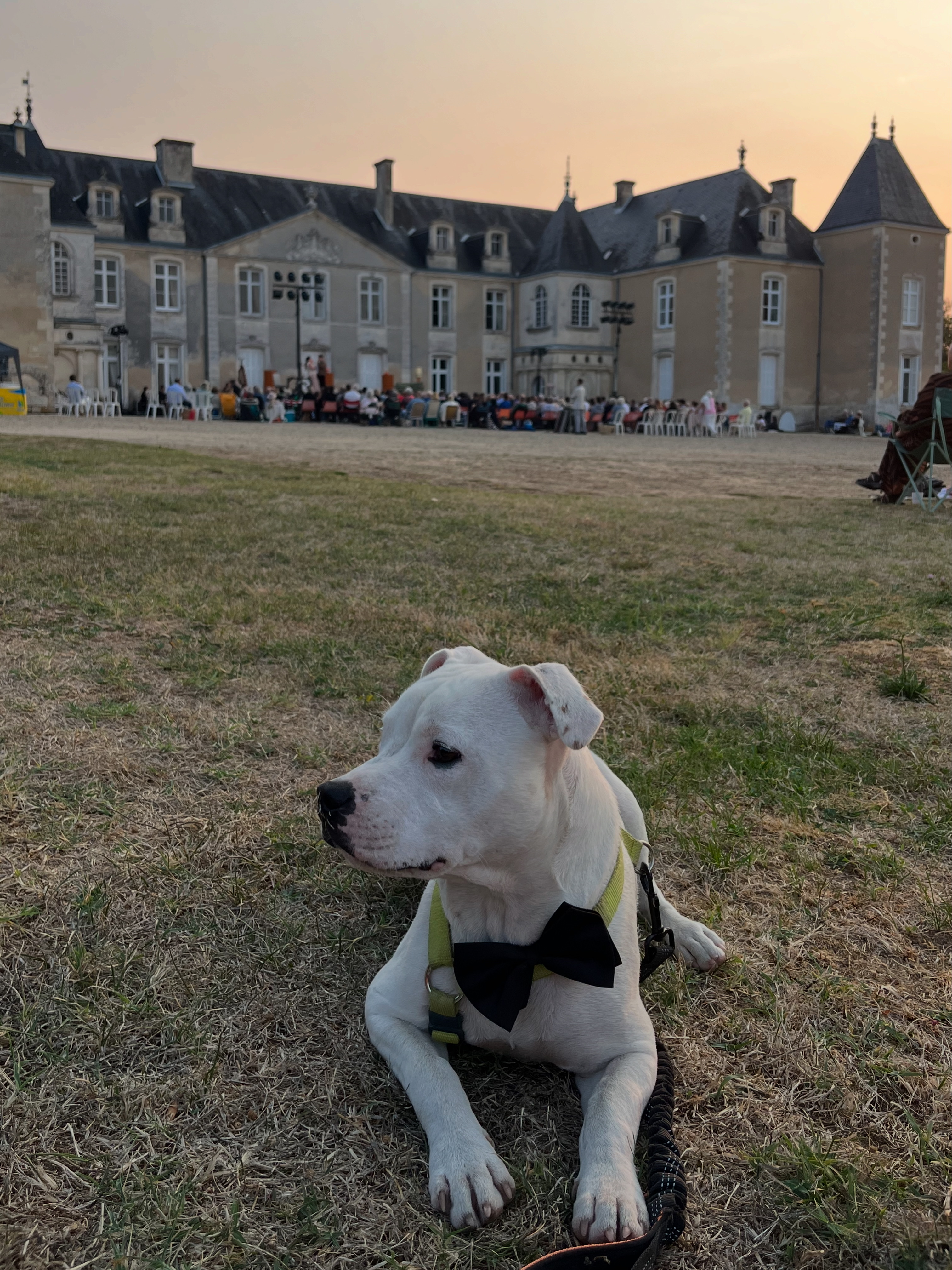 Château de Panloy — photo