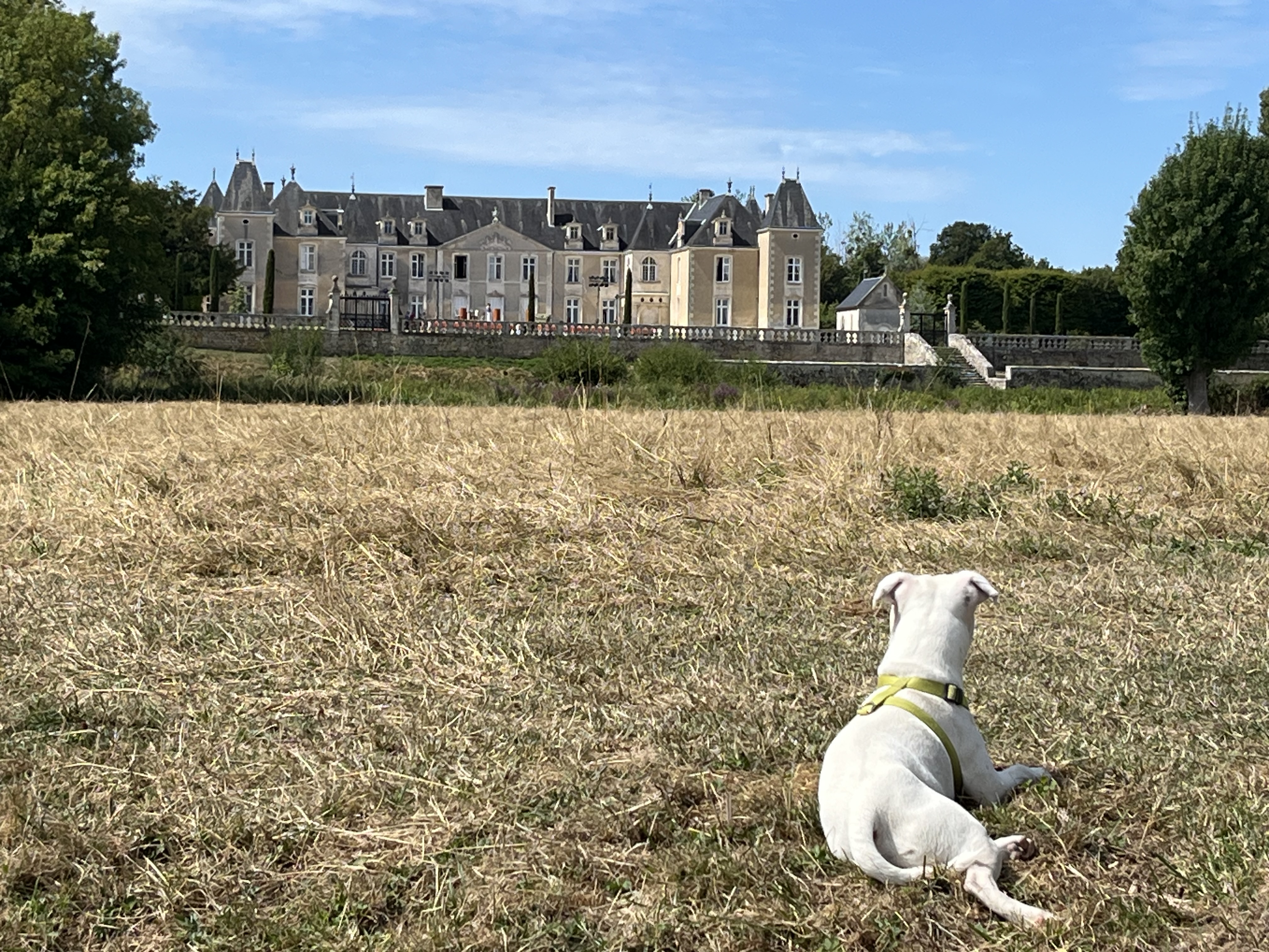 Château de Panloy — photo