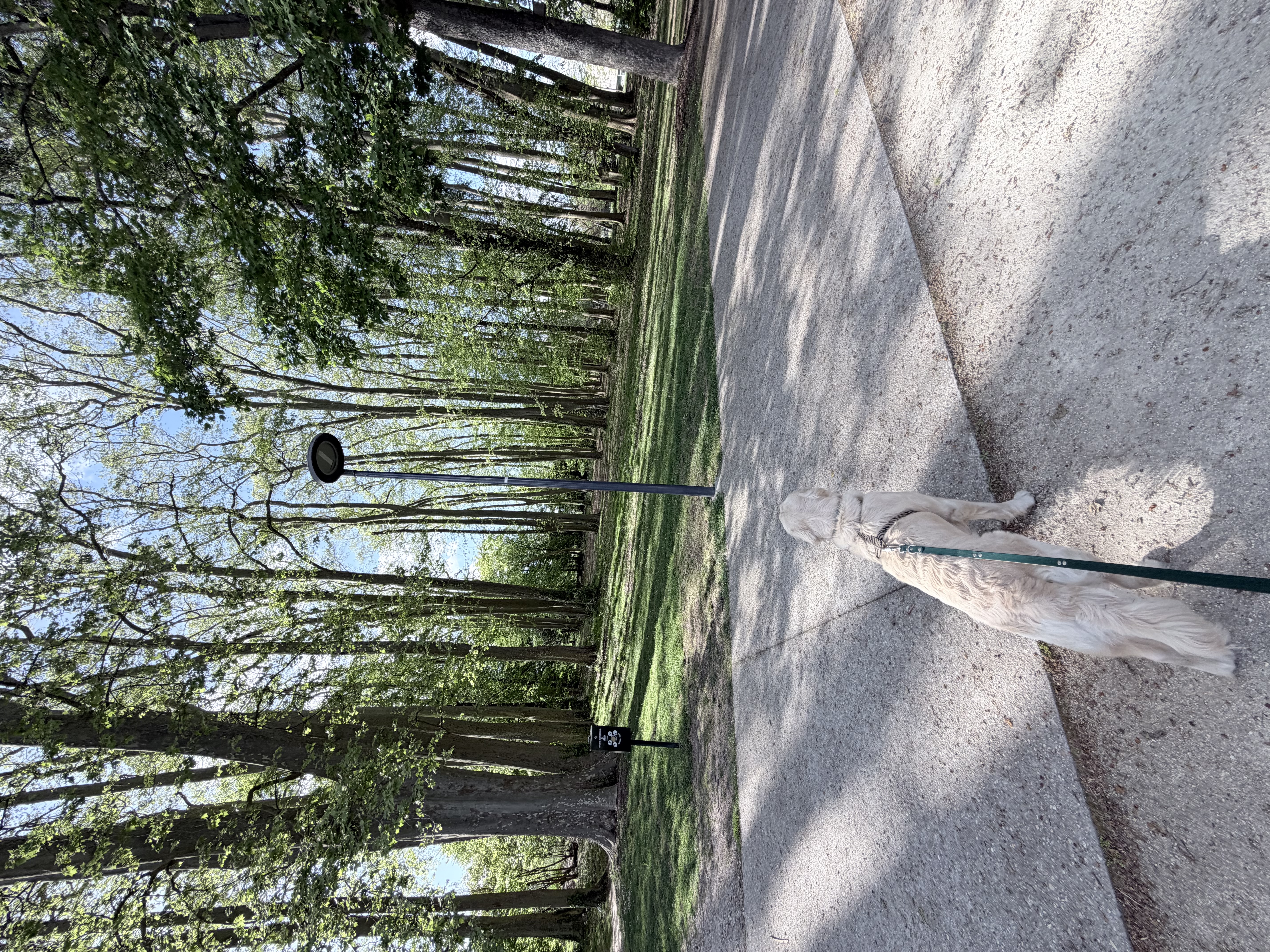Parc Treulon — photo