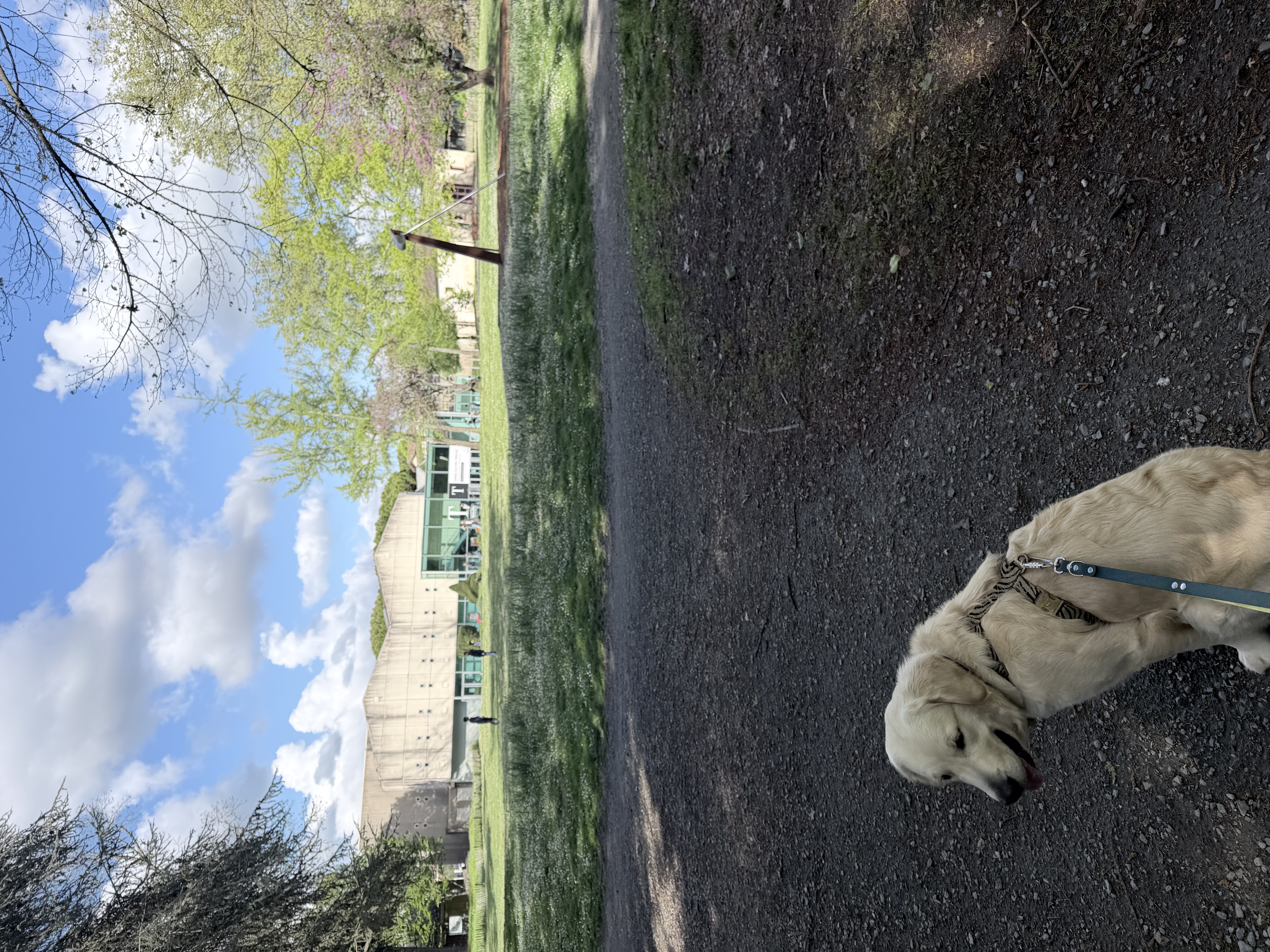 Parc Treulon — photo
