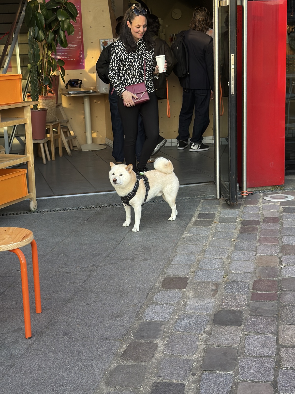 Kermes — photo