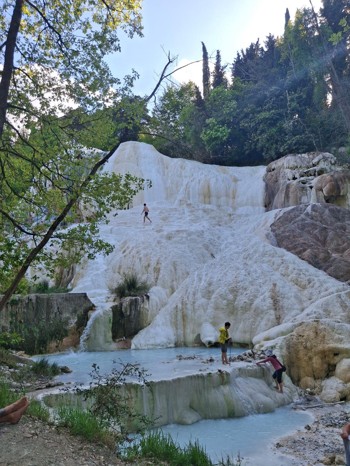 The White Whale — photo