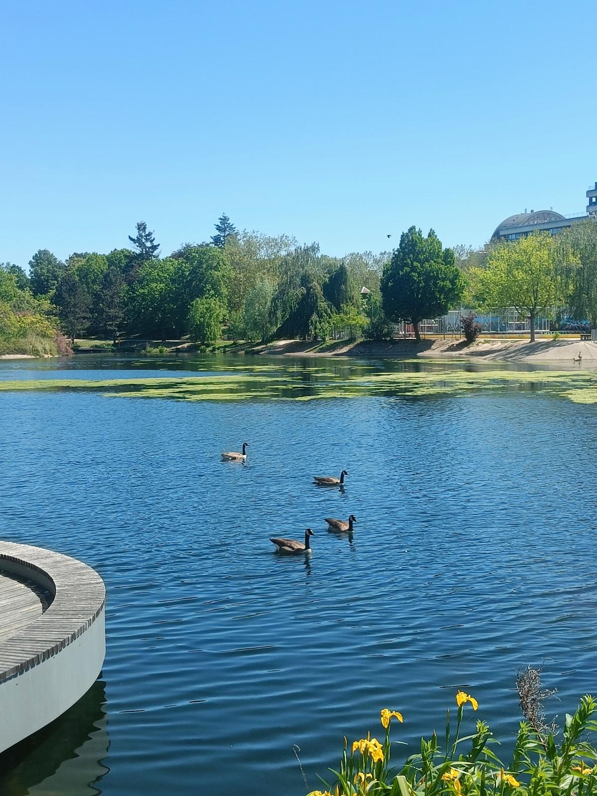 Lac des Mares-Dimanche — photo