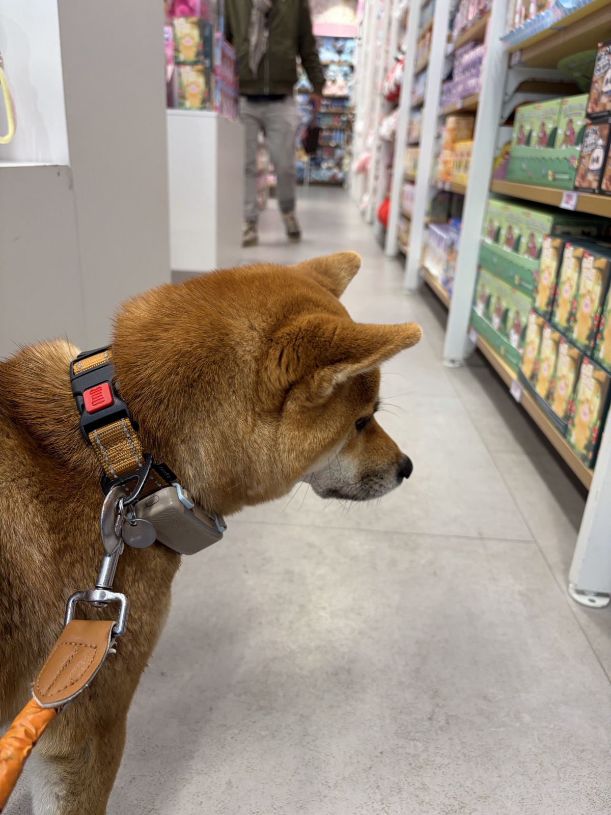 Miniso — photo