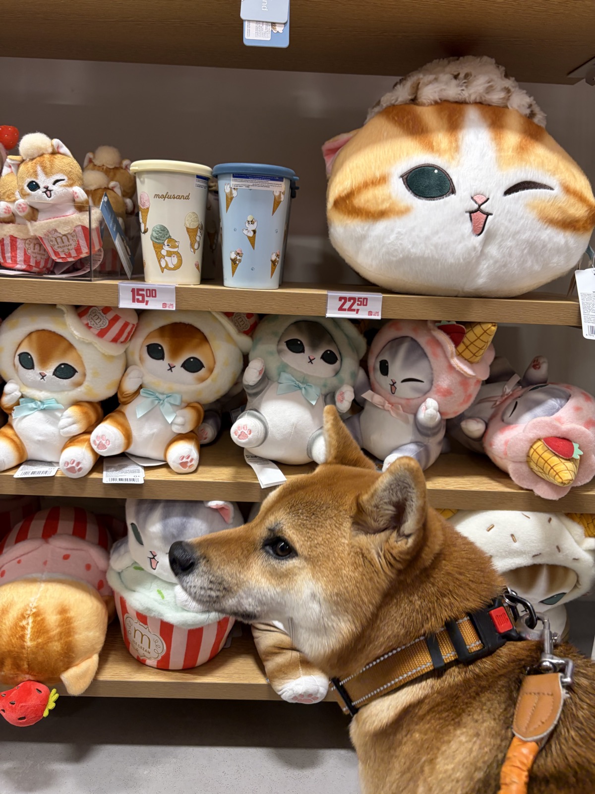 Miniso — photo