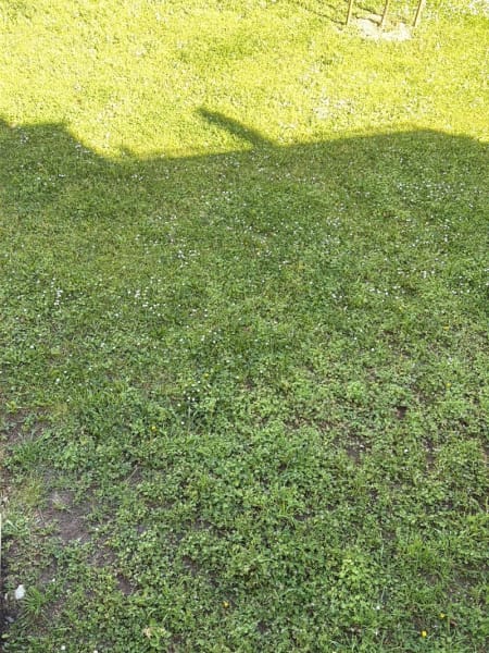 Jardin Public — photo