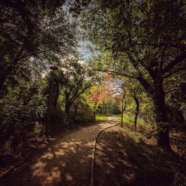 Parc des Coudrais — photo