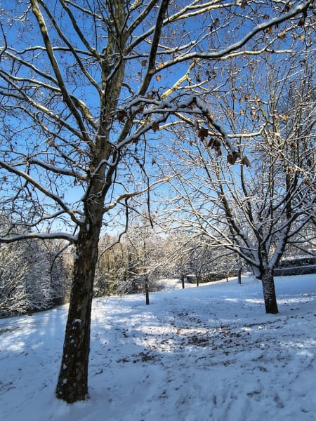 Parc des Coudrais — photo
