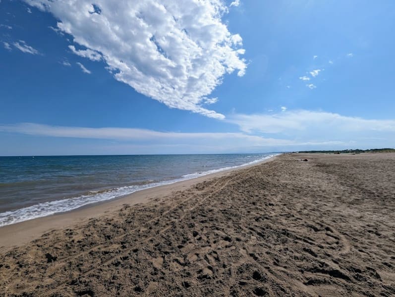 Plage pour chiens Portiragnes — photo