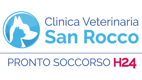 Veterinary Clinic San Rocco, Como — photo