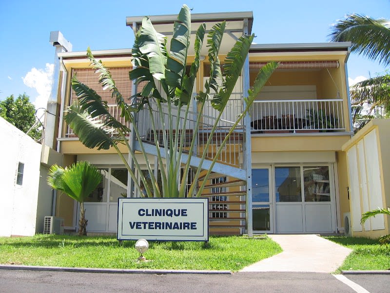 Clinique Vétérinaire de Terre Sainte - RunVet — photo