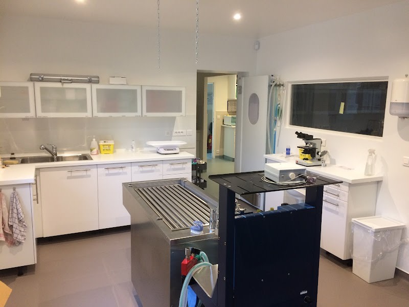 Selarl Veterinaire Du Parc — photo