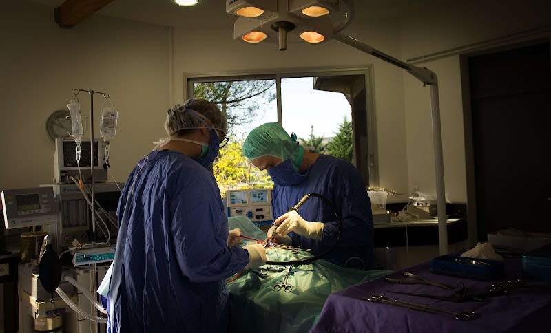 Clinique Vétérinaire Lameilhé — photo