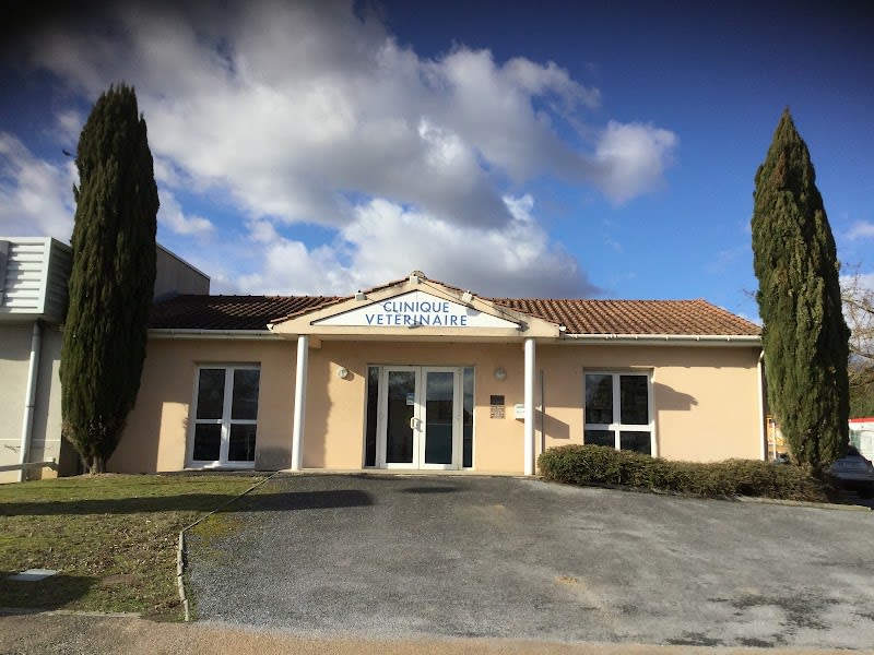 Clinique vétérinaire Velvet Castres — photo