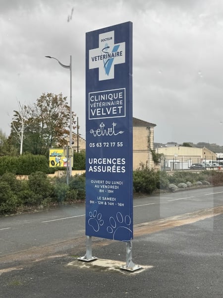 Clinique vétérinaire Velvet Castres — photo