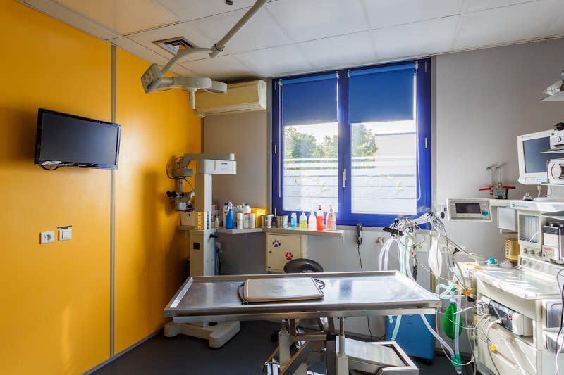 Clinique vétérinaire de la patte d'Oie - Montigny-lès-Cormeilles - Sevetys — photo