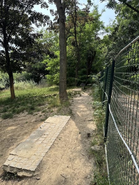 Parc à chiens – Caniparc — photo
