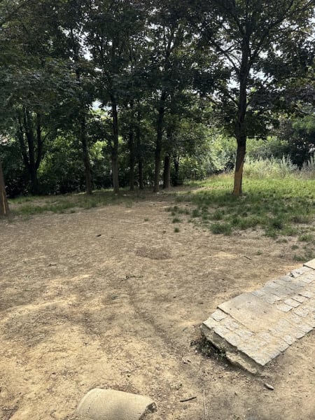 Parc à chiens – Caniparc — photo