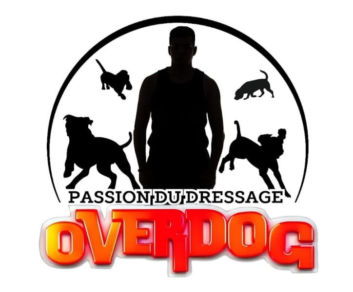 Overdog — photo