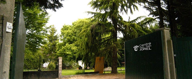 Pension chien 78 JOREL — photo
