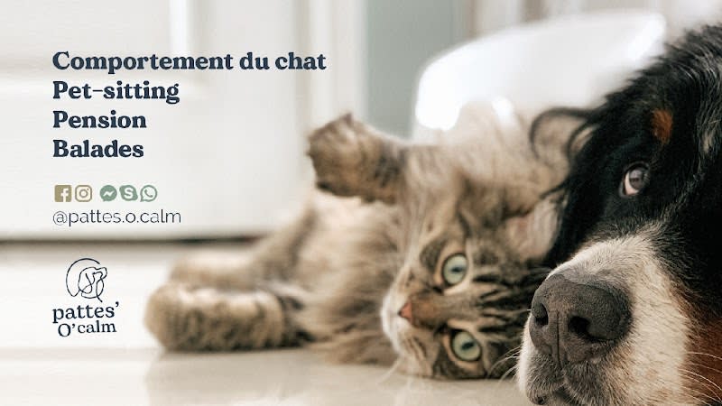 Pattes'O'Calm - Comportementaliste félin, Pet-Sitter, Pension chiens et chats — photo