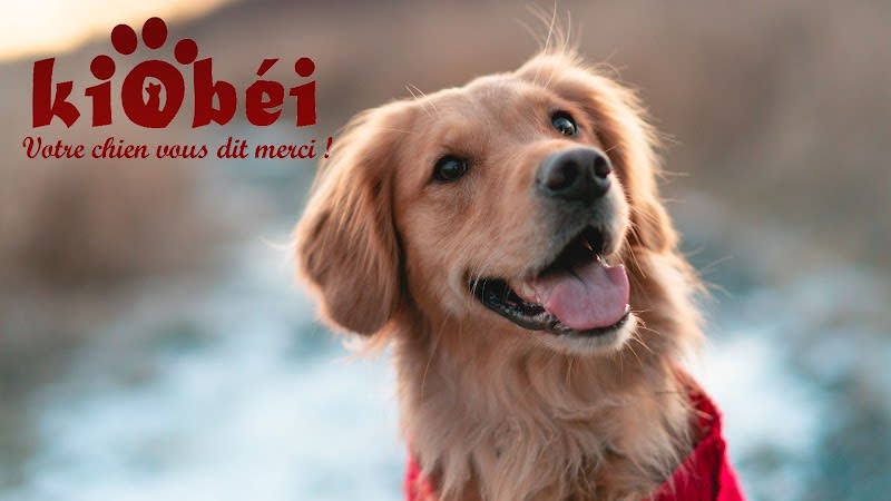 Kiobéi Educateur canin — photo