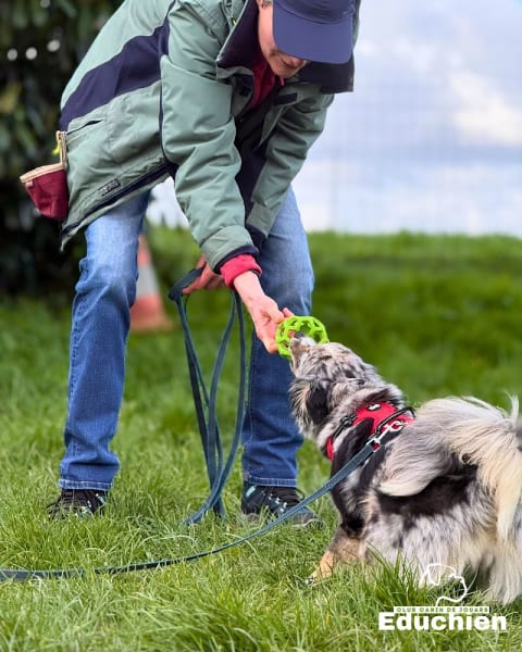 Club Canin de la Plaine de Jouars - Educhien — photo