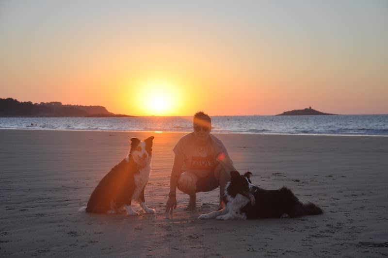 Happy Doggy — photo