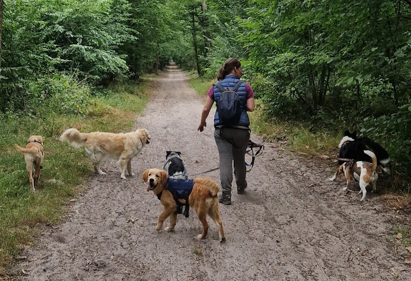 Sandrine Grandjean Educateur Canin — photo