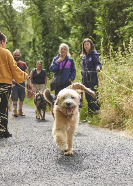 De Nature Canine Saint Germain en Laye Educateur Canin — photo