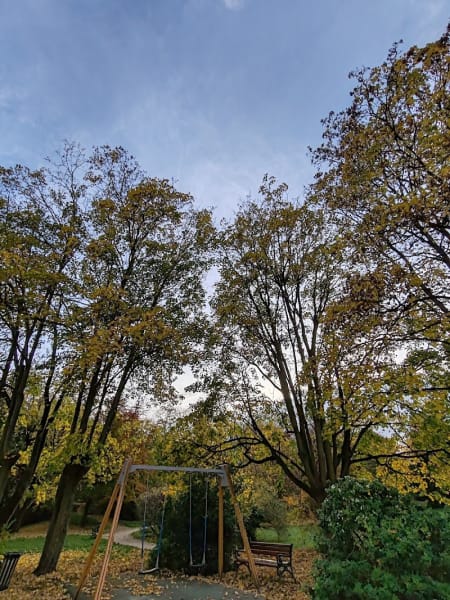 Accès Jardin Public de l'Avre — photo