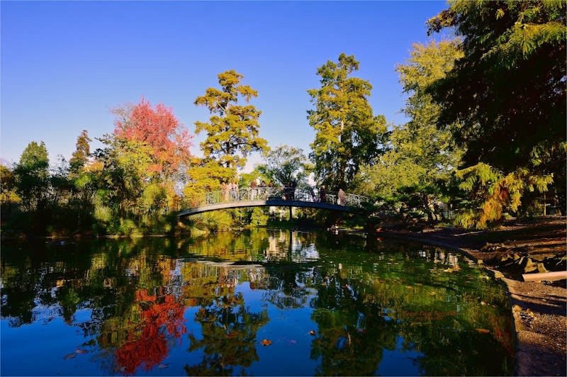 Jardin public — photo