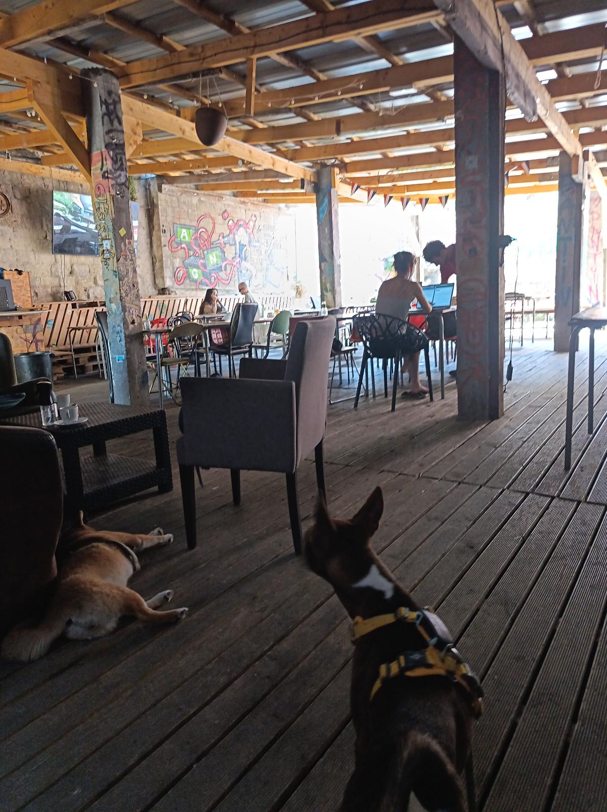 Chez Agnes - Bar Restaurant Au bord de l'eau — photo