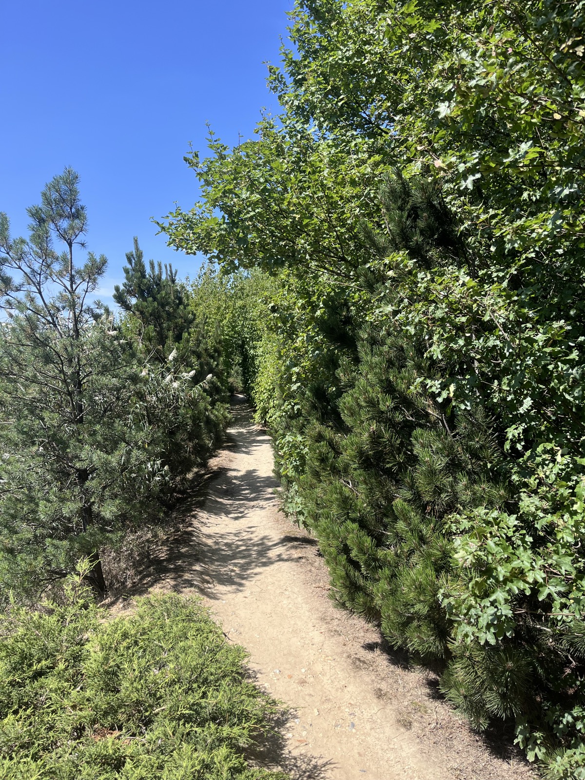 Parc départemental des Hautes-Bruyères — photo